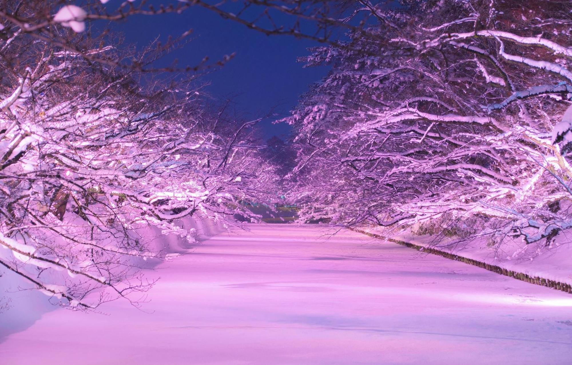 Hirosaki Park Hotel Aomori Dış mekan fotoğraf